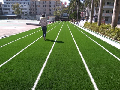 广东惠州惠东县平山一小