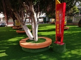广西岑溪市第三小学免填充人造草坪工程 01    2020年7月.jpg