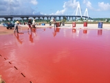 海南文昌航天发射基地自结纹跑道工程 01    2016年6月.jpg