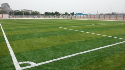 广州花都区博雅实验学校