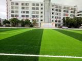 广东惠州惠东县吉隆中学人造草足球场工程 01 &nbsp;&nbsp;&nbsp;2017年3月.jpg
