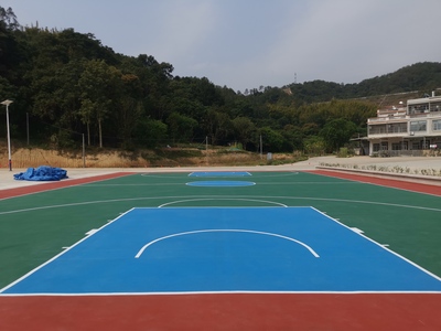 广东潮州饶平县汤溪镇新园